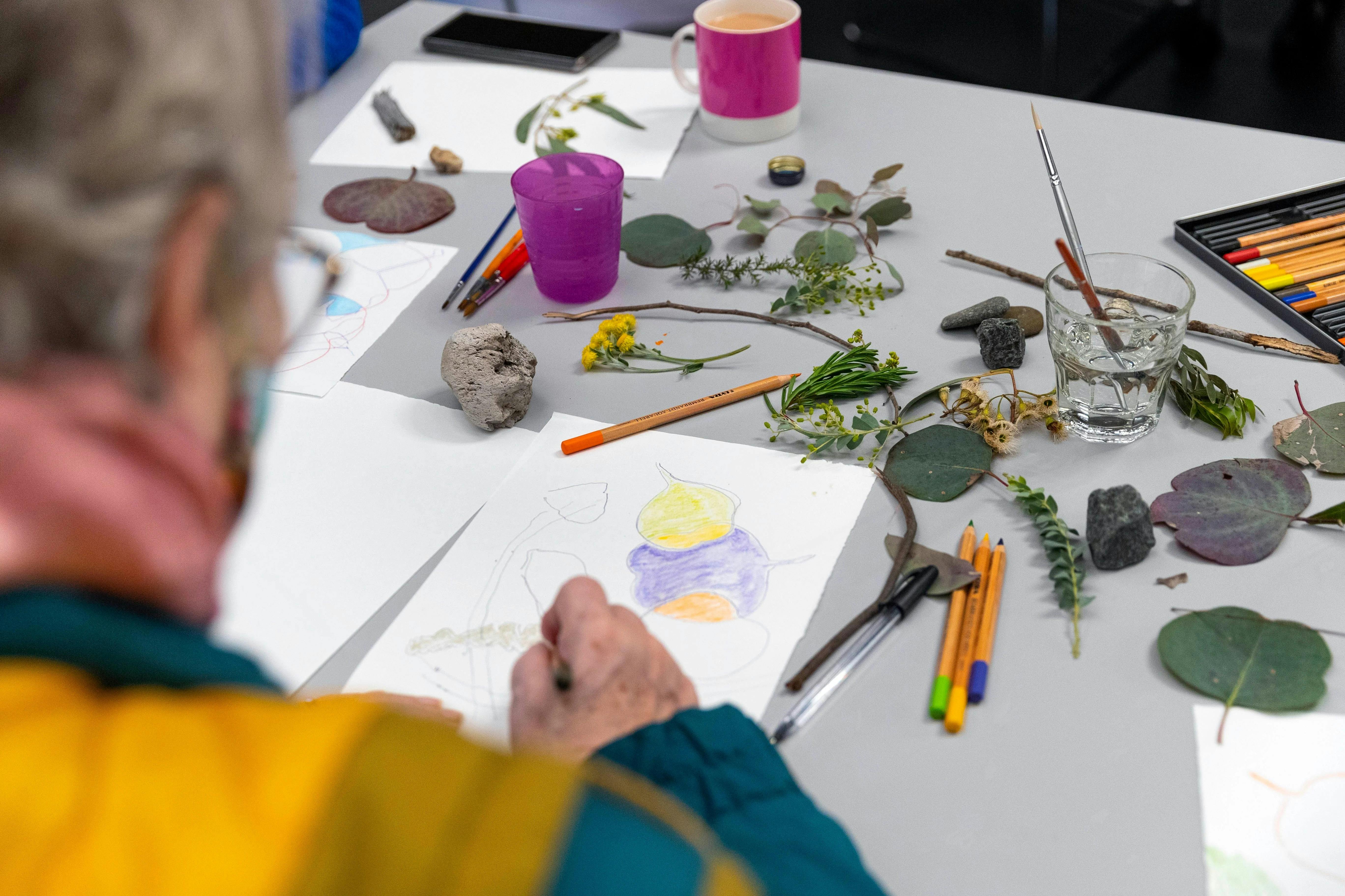 A photograph over the shoulder of an elderly person drawing gum leaves from real ones on the table