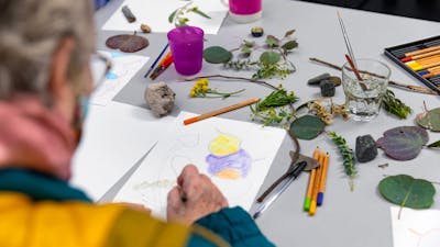 A photograph over the shoulder of an elderly person drawing gum leaves from real ones on the table