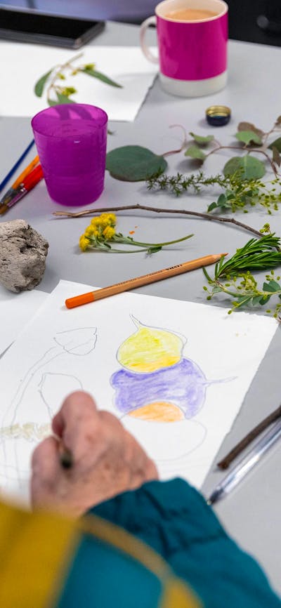 A photograph over the shoulder of an elderly person drawing gum leaves from real ones on the table