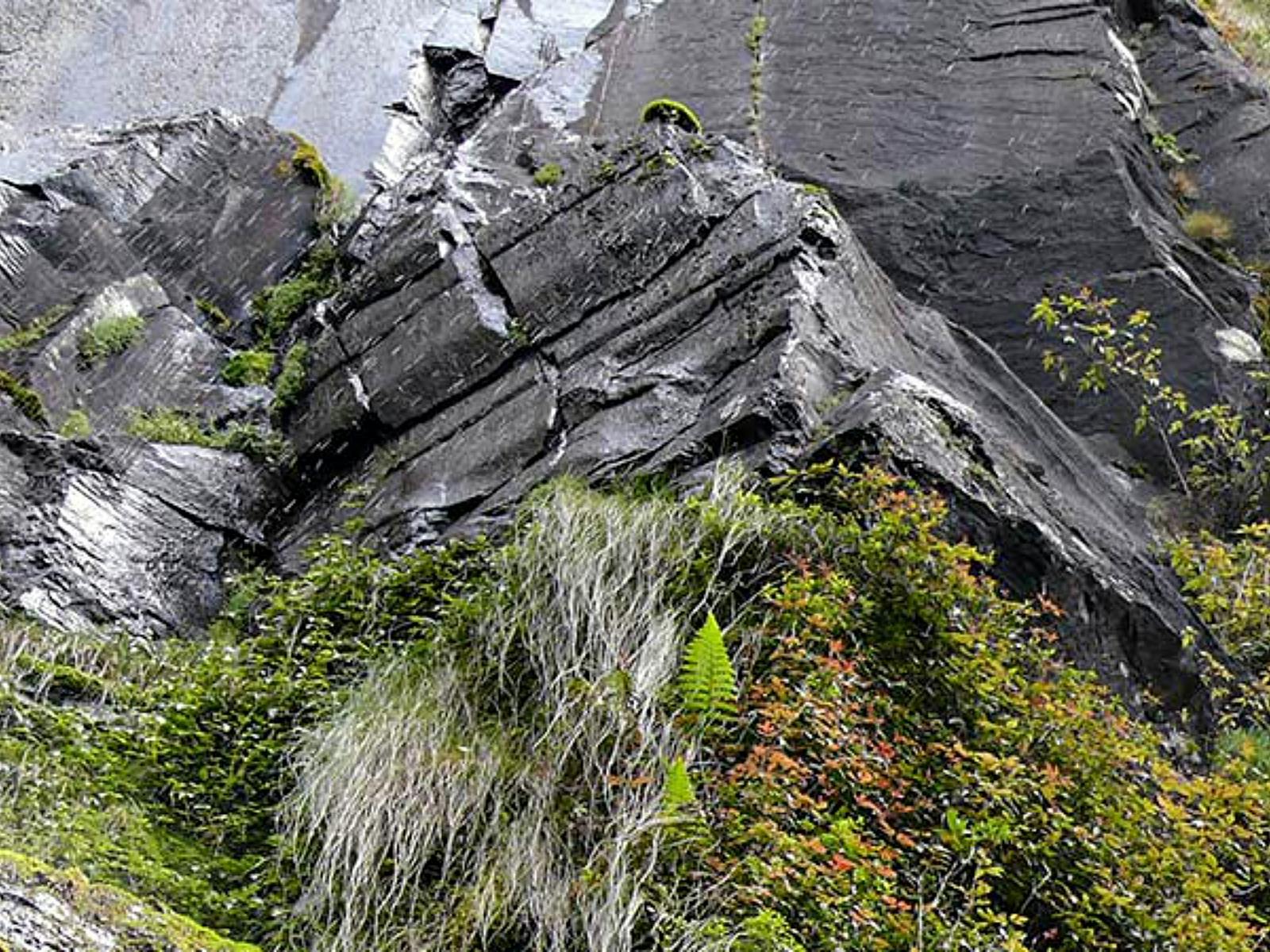 Weeping Rock walking track, New England National Park. Photo: H Clark