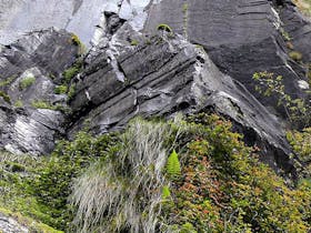 Weeping Rock Walking Track