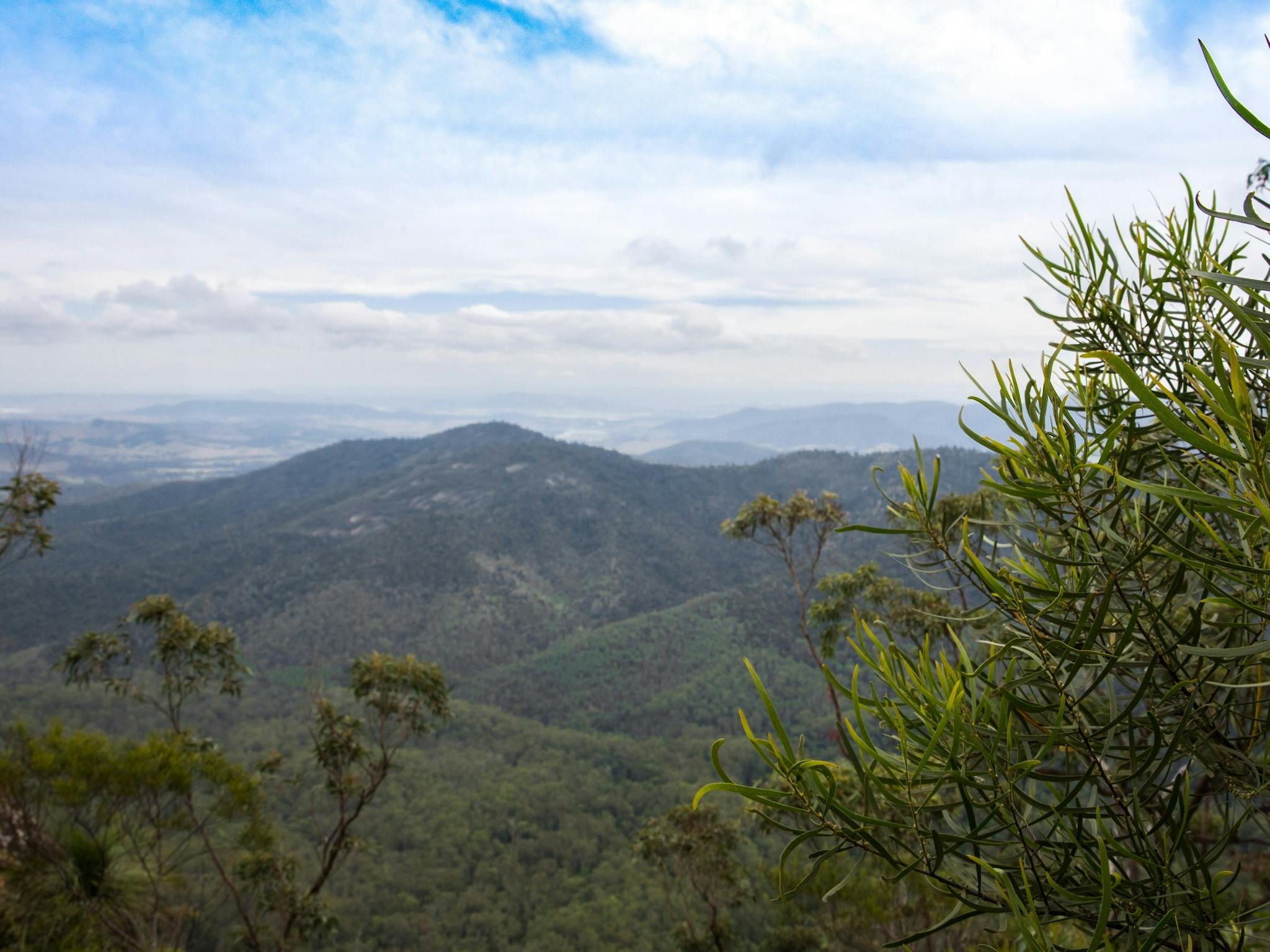 Somerset_Walk_MtMee_Trail_stunning_views_dayboro_moreton_bay_region Somerset_Walk_MtMee_Trail_stunning_views_dayboro_moreton_bay_region