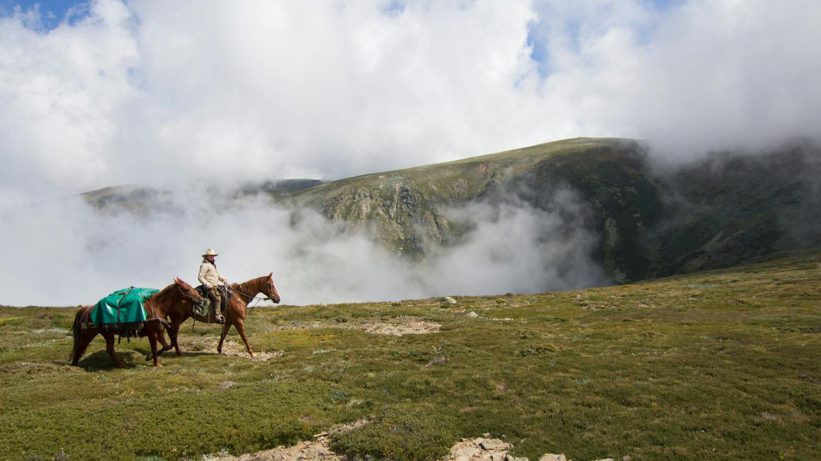 Mount Bogong