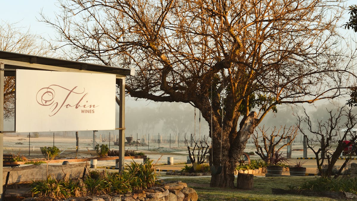 Cellar Door swings