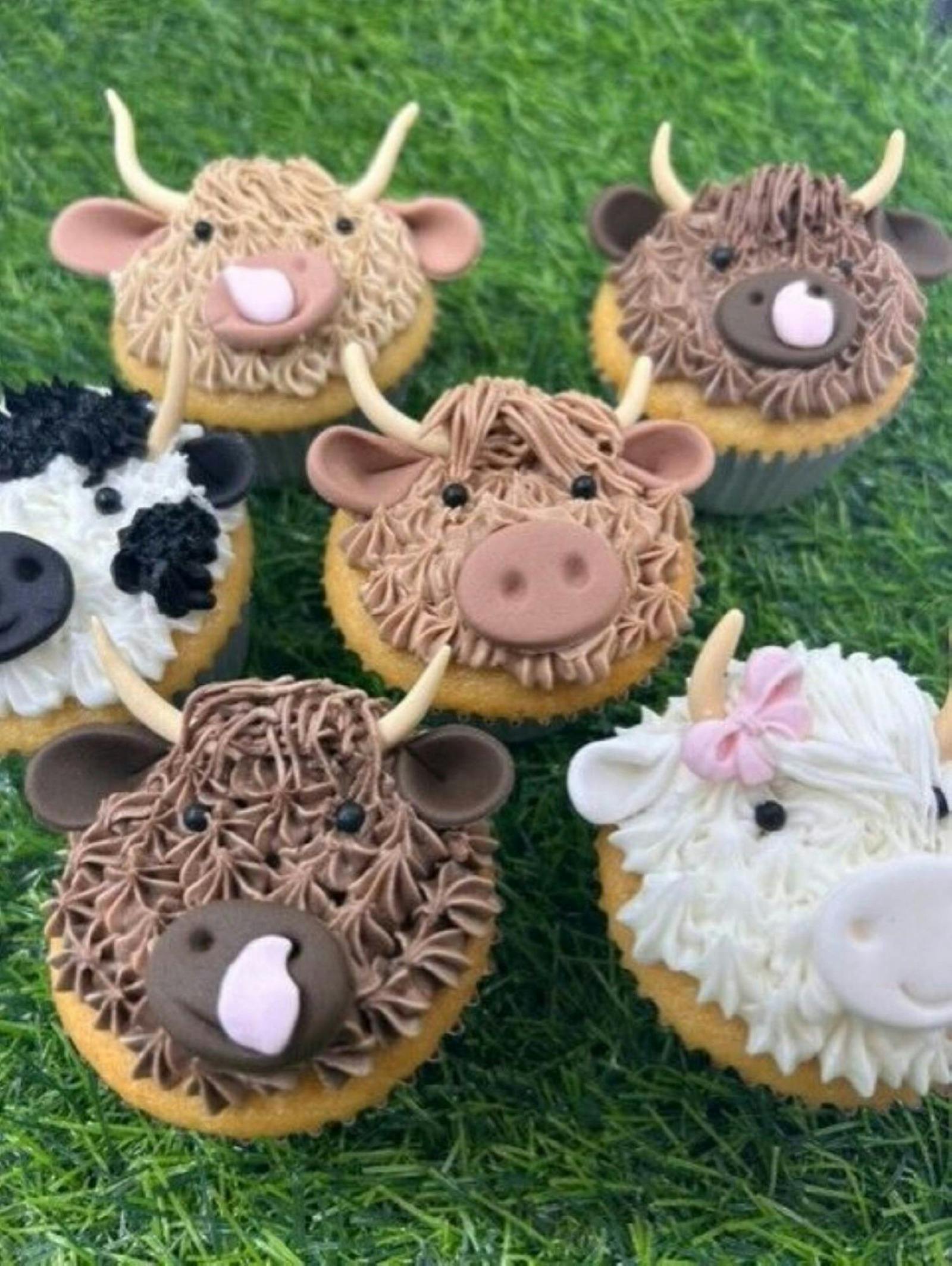 Highland cow cupcakes
