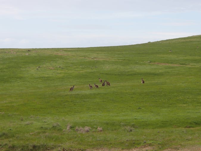Mokota Conservation Park