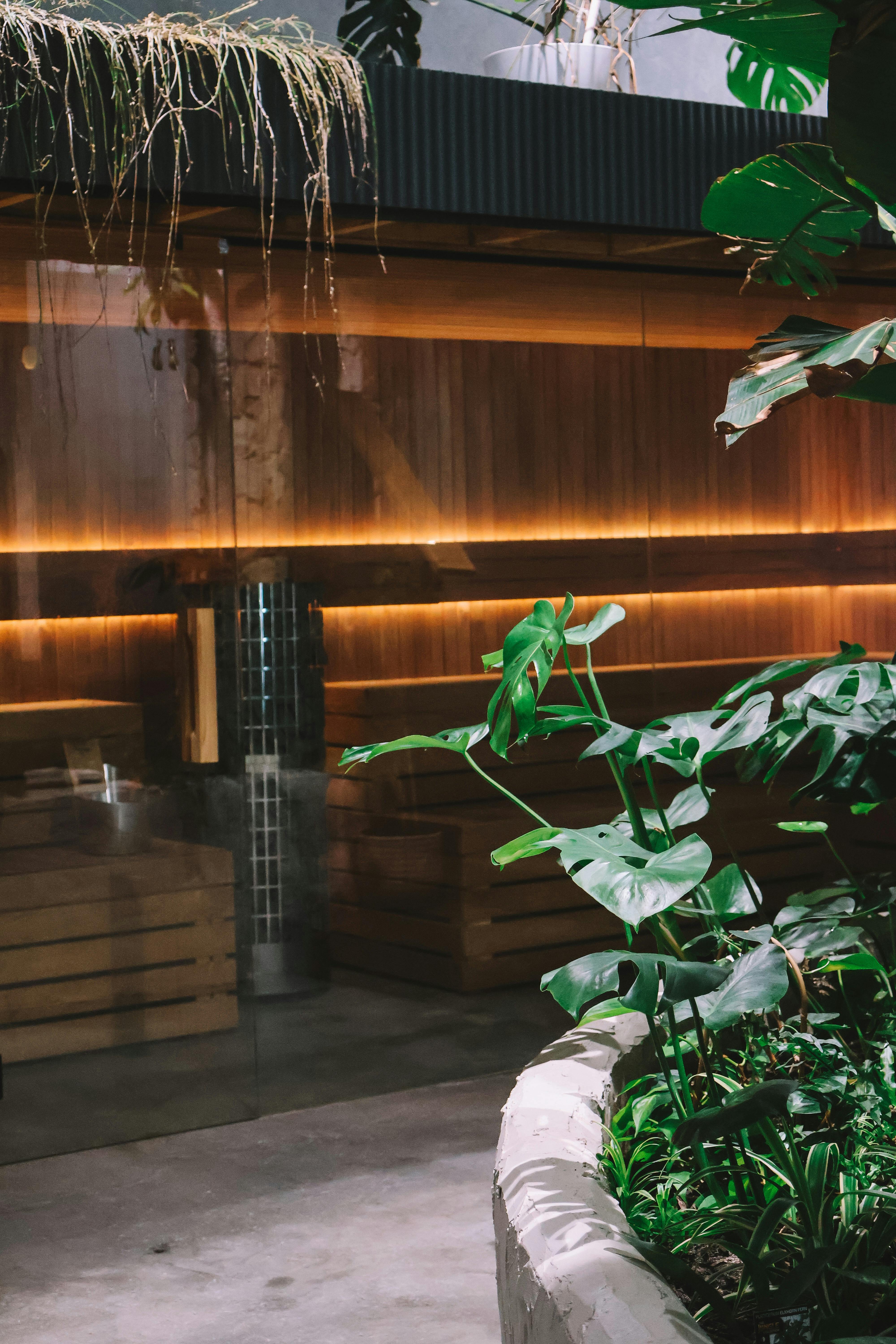 Eden day Spa - sauna