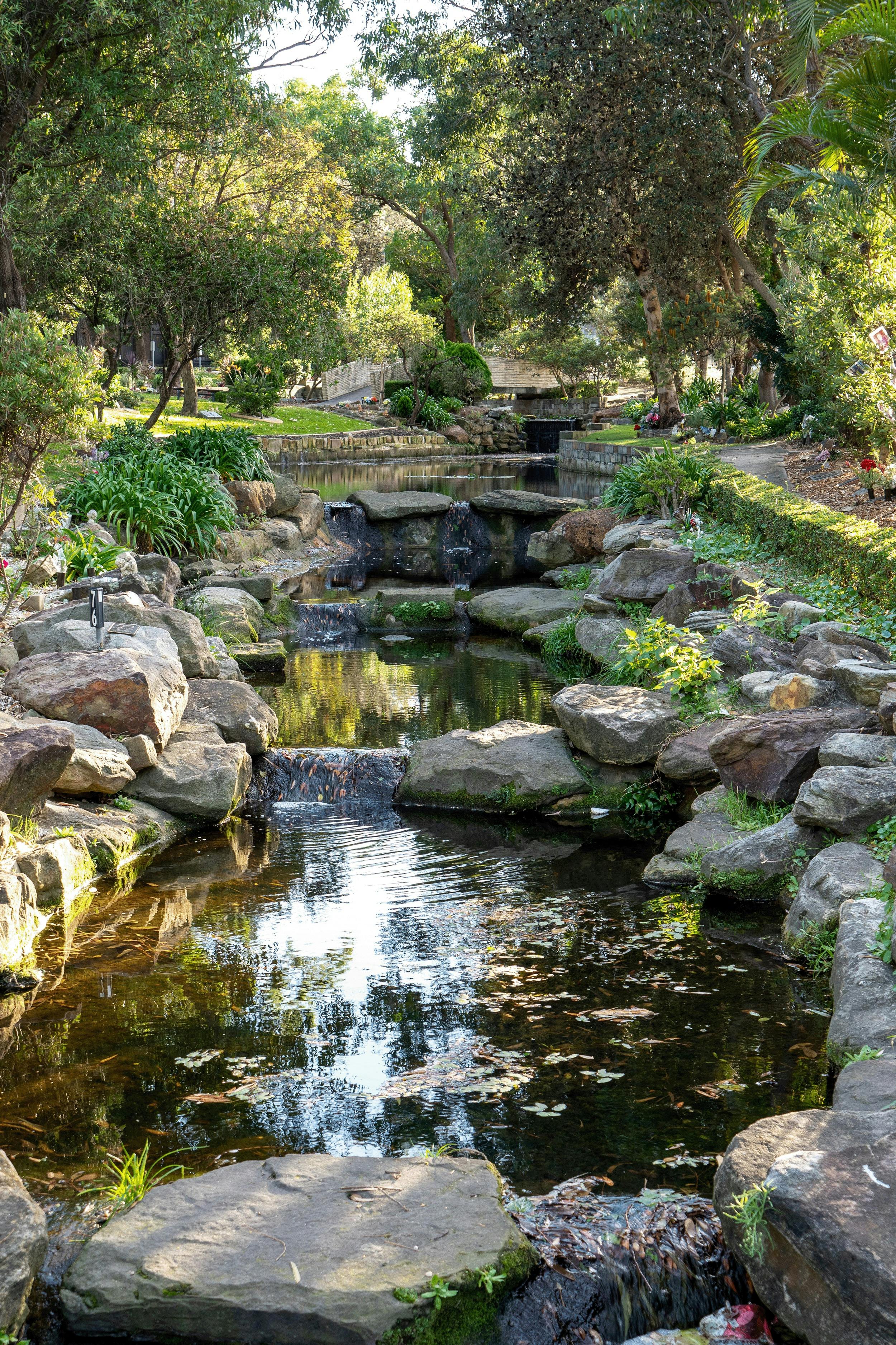 beautiful walking area with water running through the middle and surrounded by plants