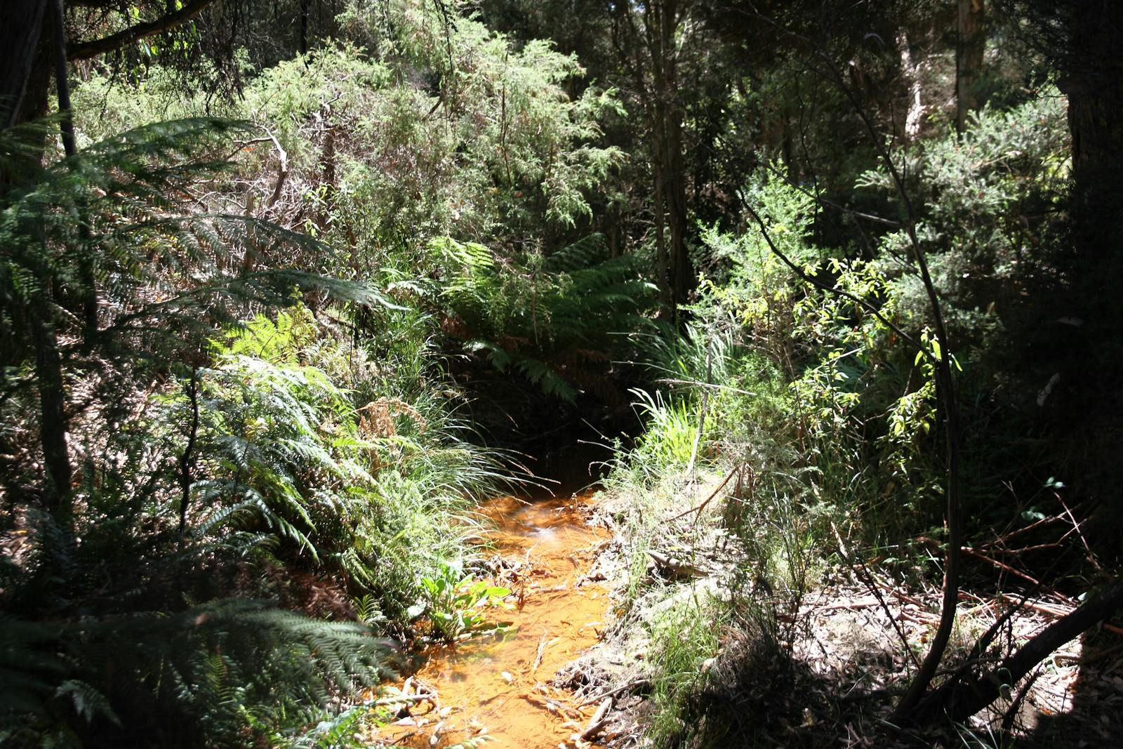 Clayton Drive Reserve, Spreyton