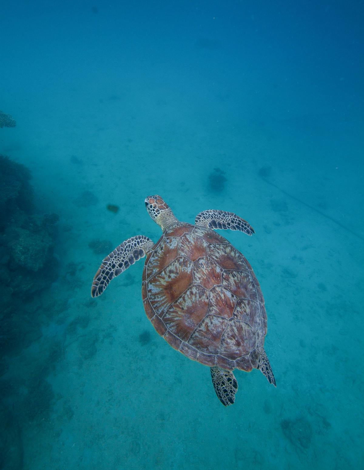 Russell Island Camping transfers by Frankland Island Reef Cruises