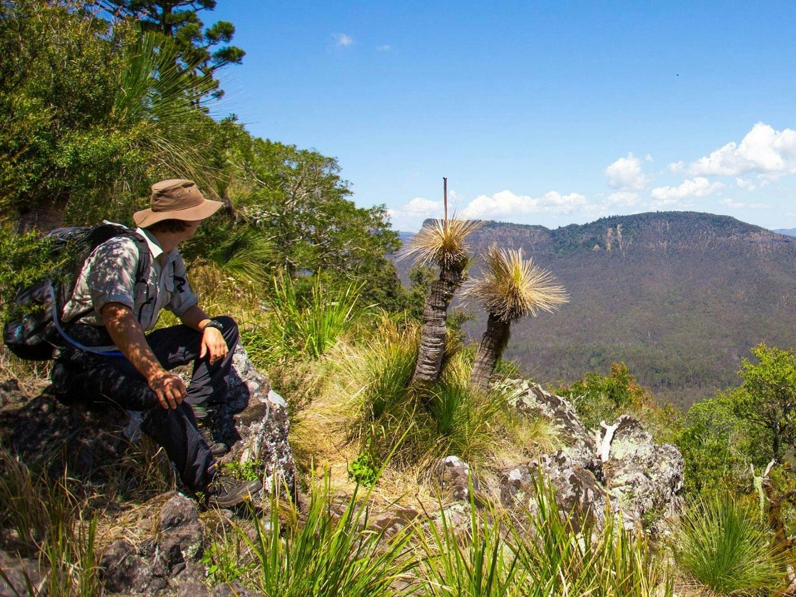 Scenic Rim Trail