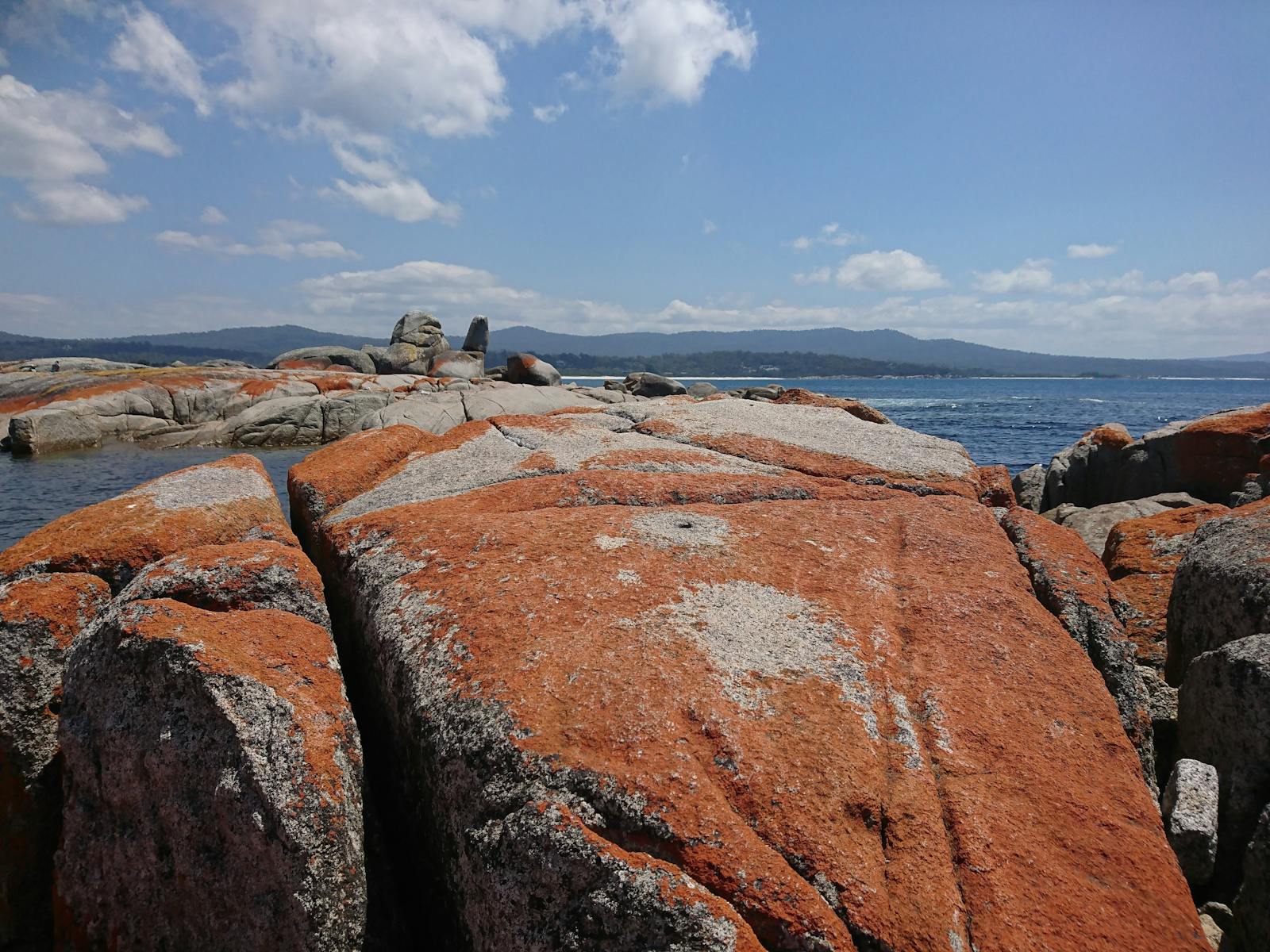 Orange lichen covering rocks at the Bay Of Fires