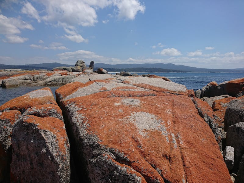 Orange lichen covering rocks at the Bay Of Fires