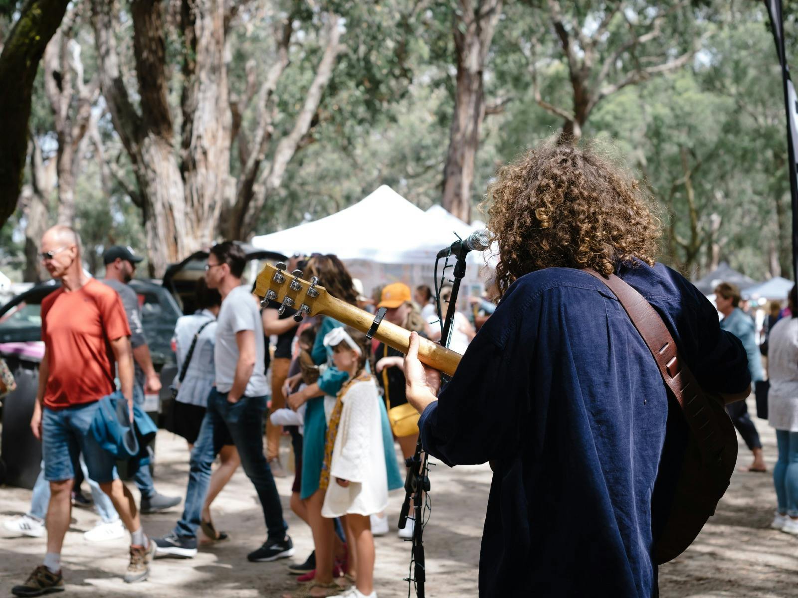 Emu Plains Market