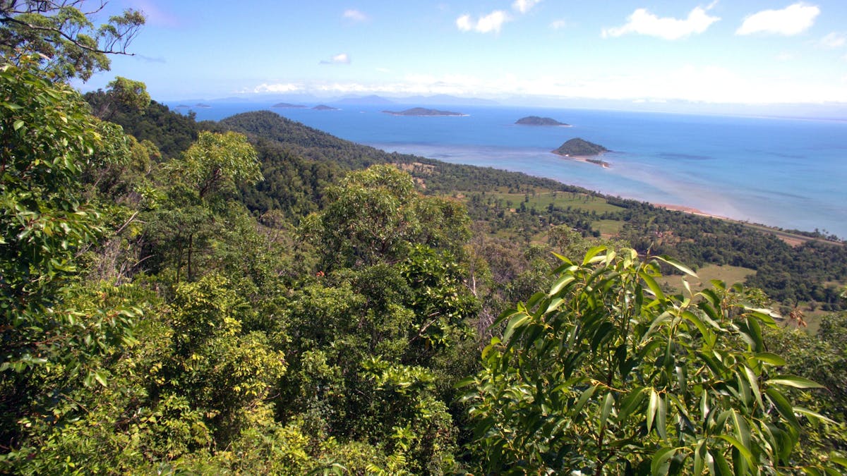 Bedarra Island Hincinbrook Island