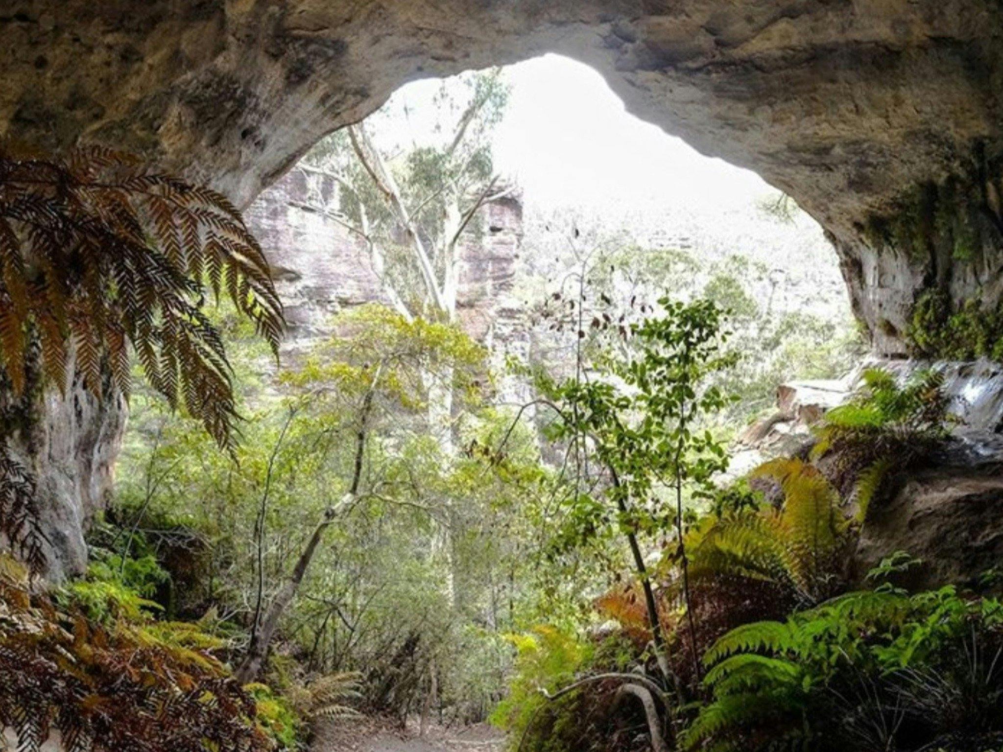 维多利亚山到布莱克希思