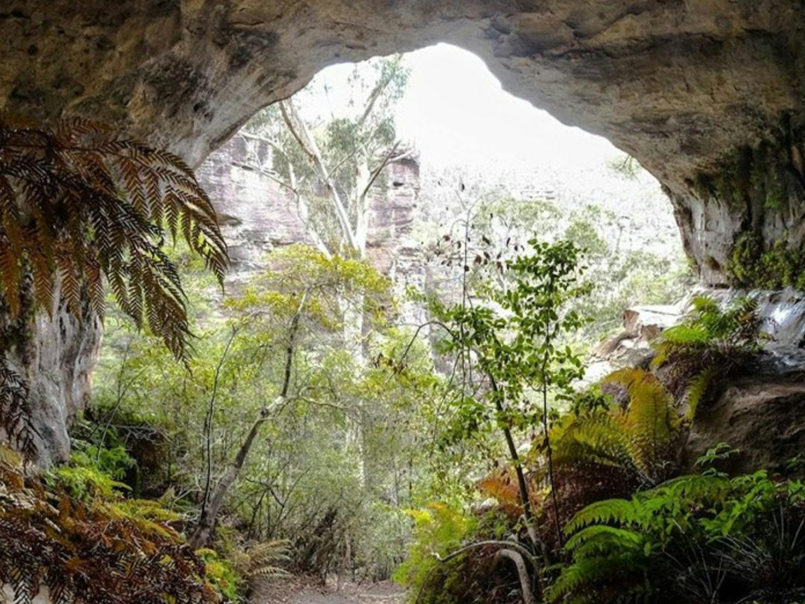 维多利亚山到布莱克希思