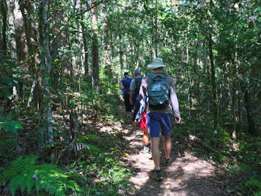 Walkers stride laong a dirt track fringed by ;leafy green shady forest. Walkers stride laong a dirt track fringed by ;leafy green shady forest.