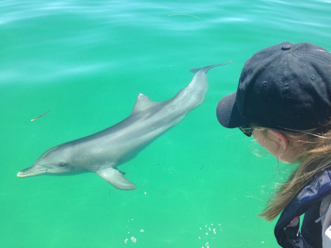 adelaide dolphin sanctuary tours