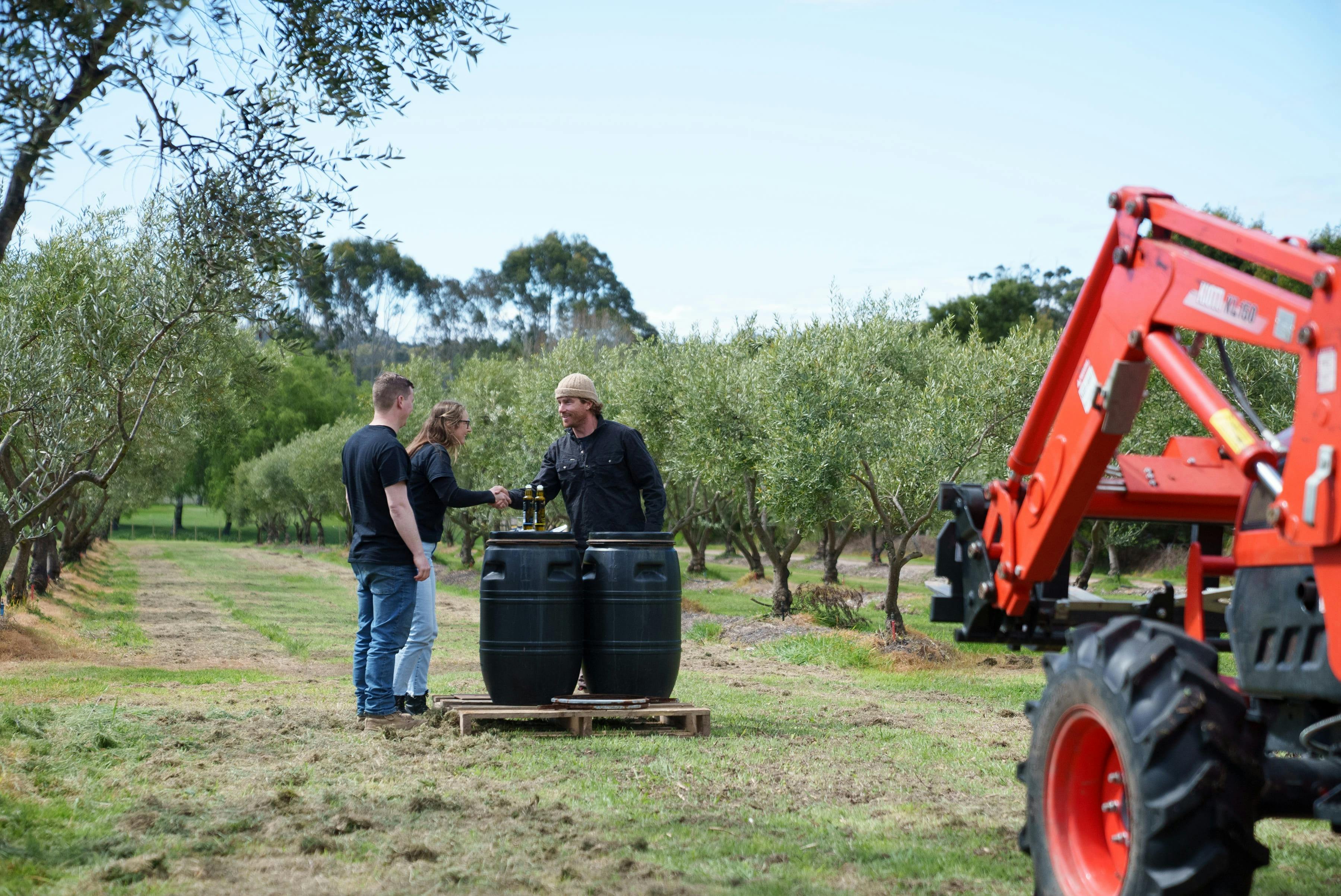 Tractor in the Grove