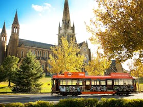 The Dja Dja Wurrung Tram passing the Sacred Heart Cathedral