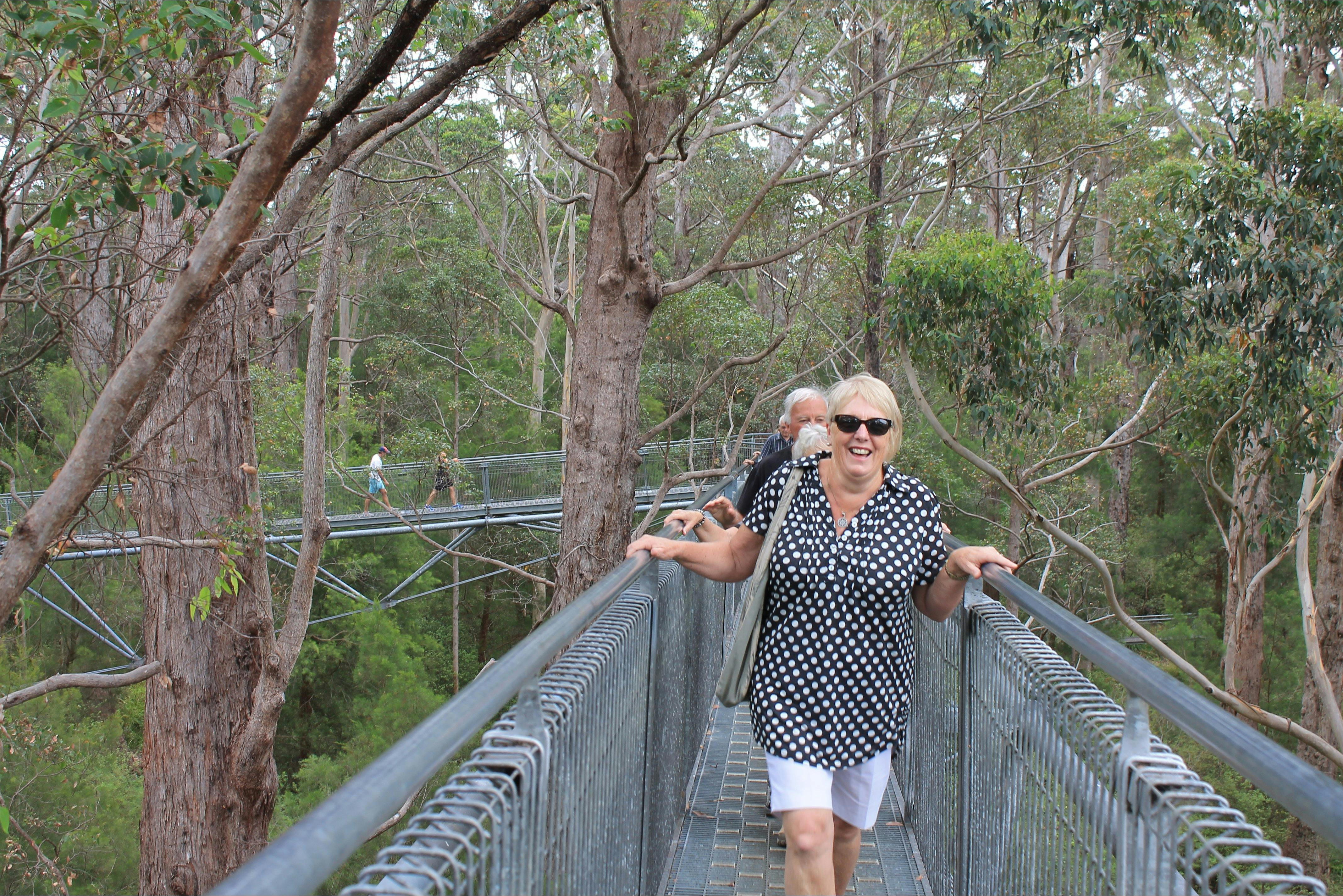 Valley of the Giants Tree top walk