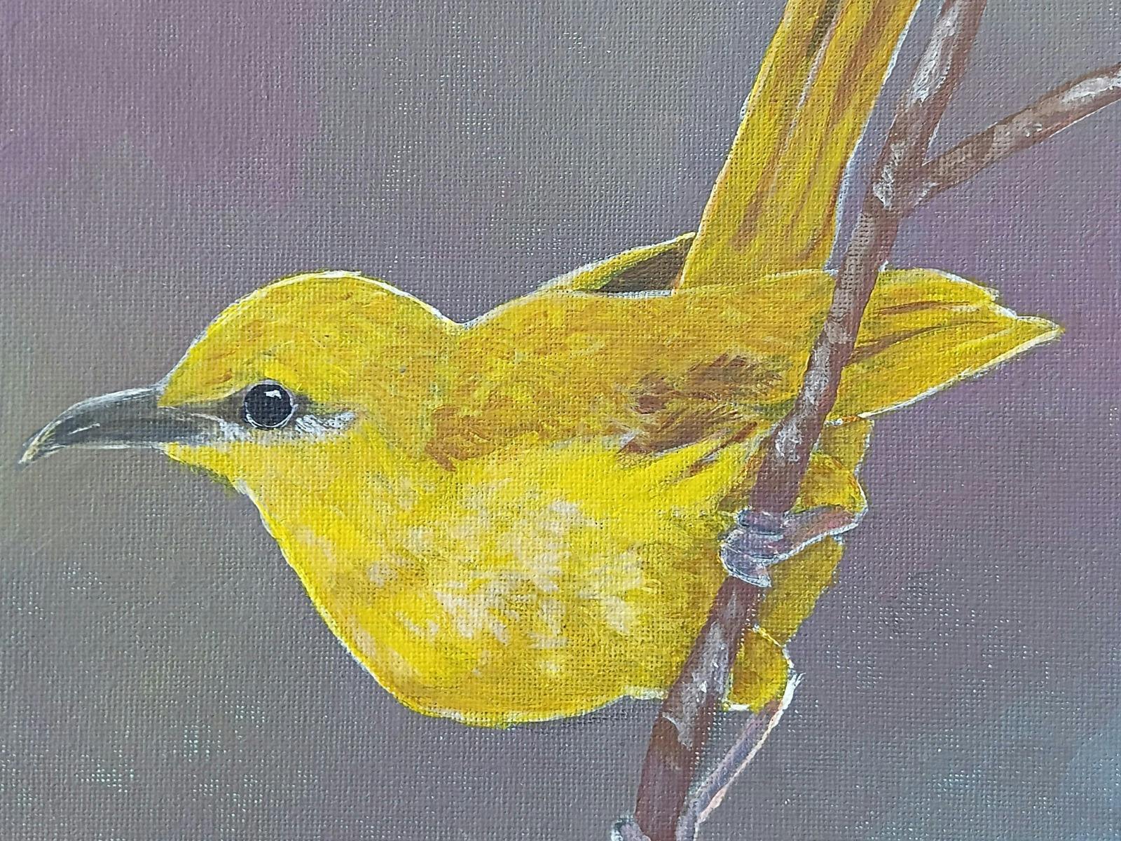 painting of an Australian yellow honey eater perched on a stick against purple/blue hue background