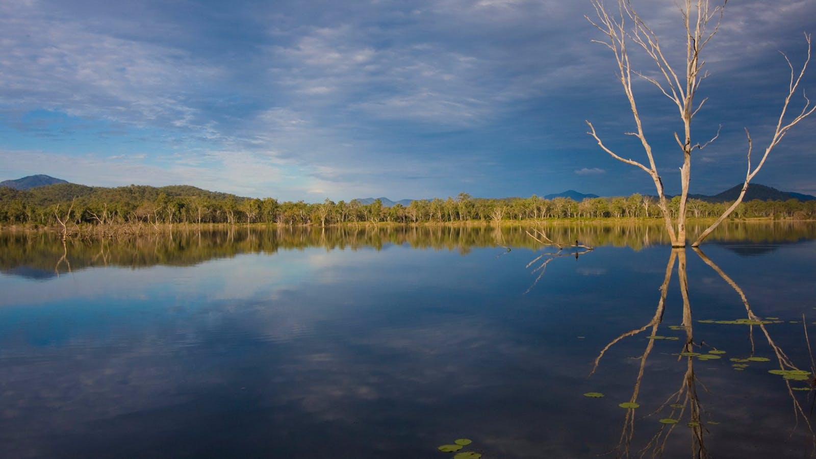 Lake Awoonga