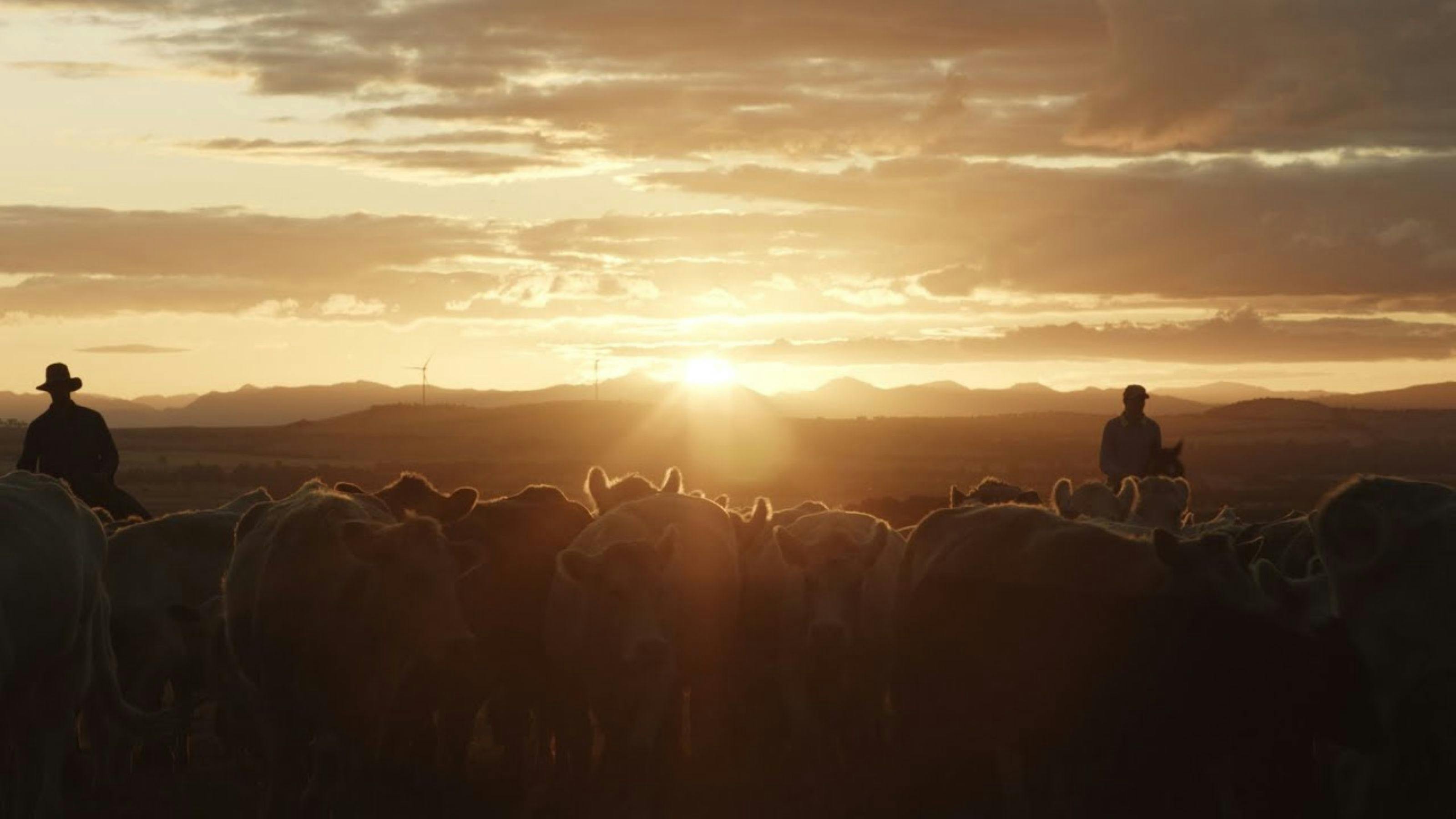 Just A Farmer screening at Pearces Creek Hall