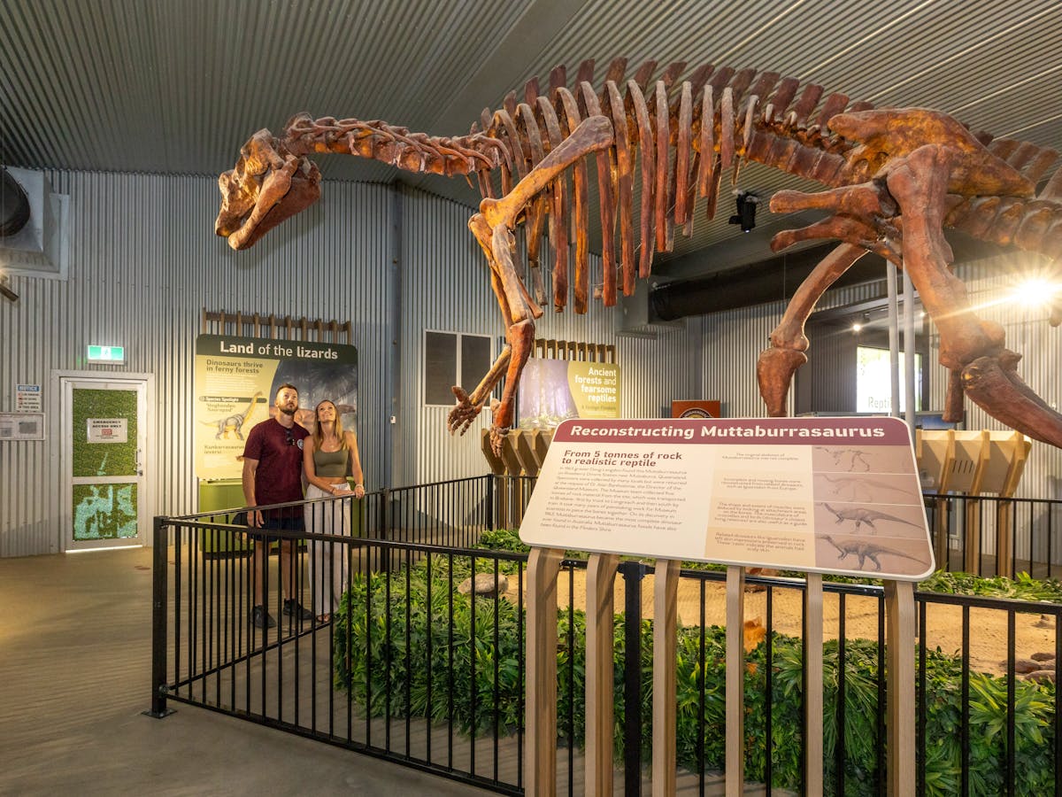 Lifesize skeleton of a Muttaburrasarus