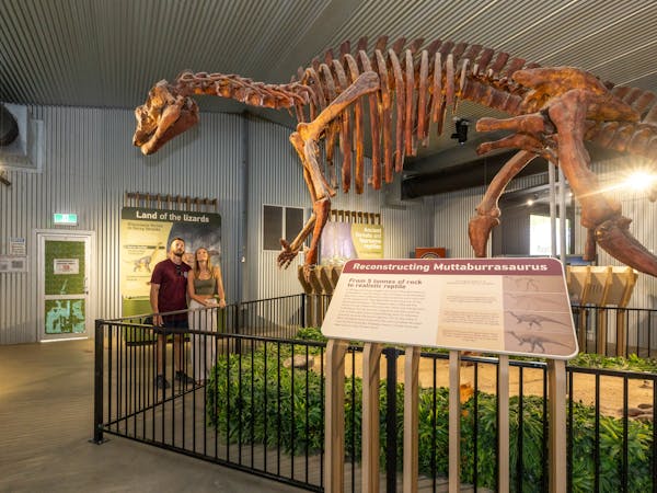 Lifesize skeleton of a Muttaburrasarus