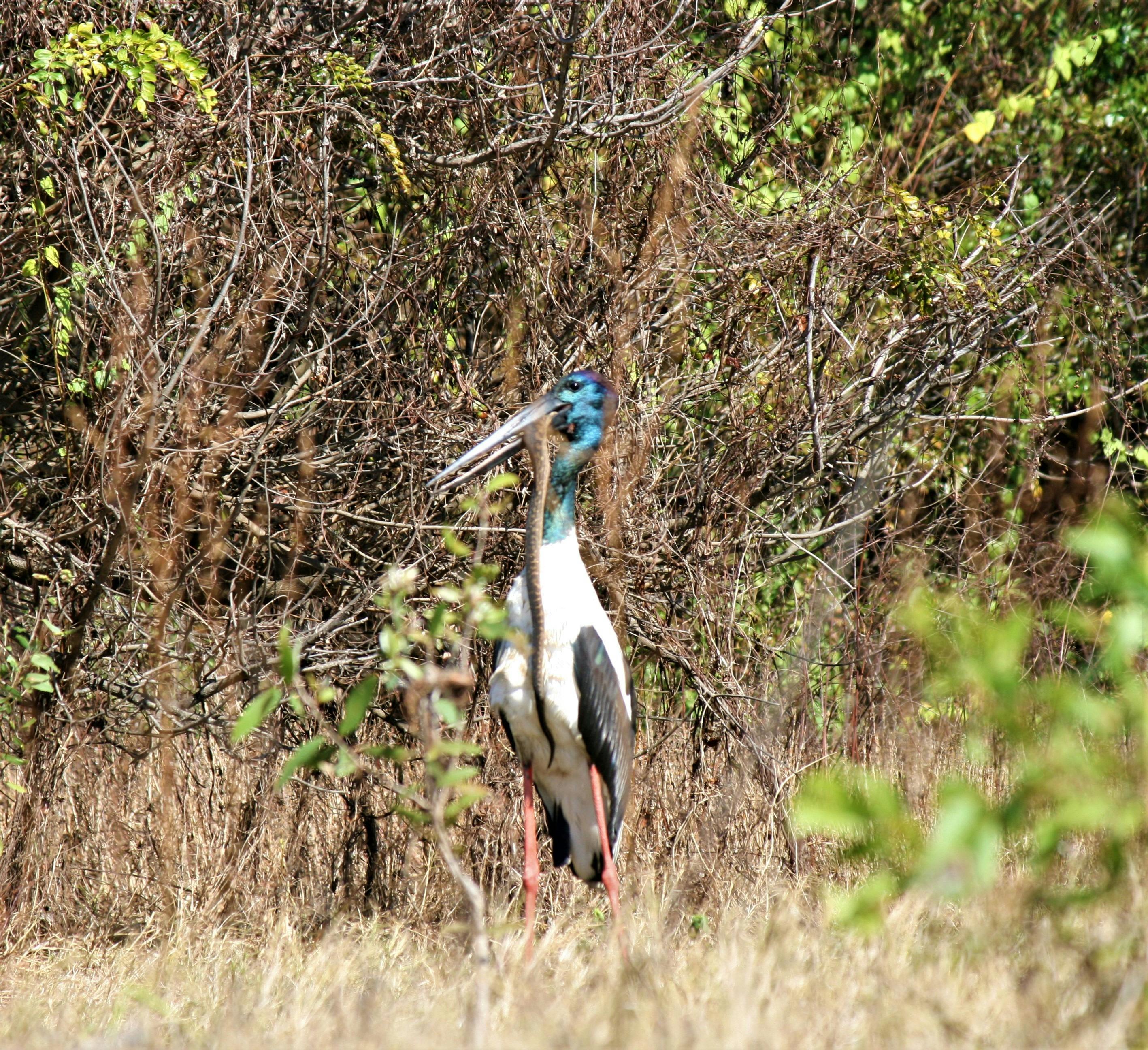 Deluxe 4WD Tailor Made Touring