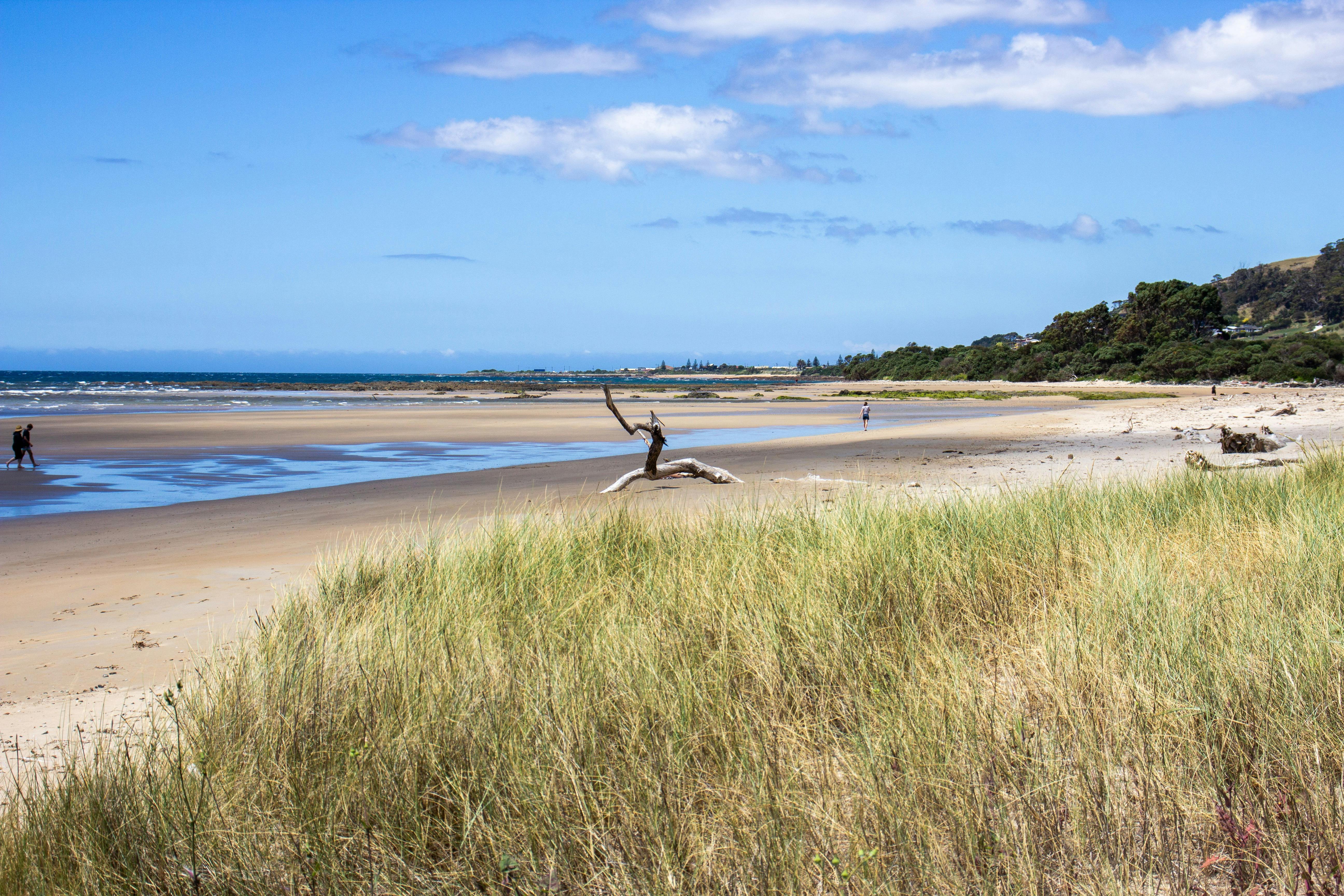 Foreshore Reserve, Somerset