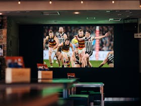3m wide LED screen showcasing all your favourite sport live & loud