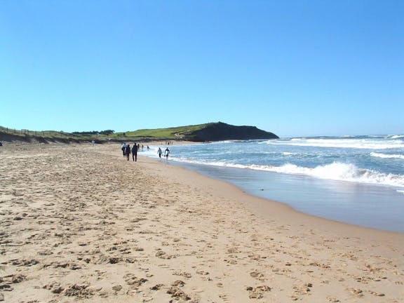 Long Reef Beach