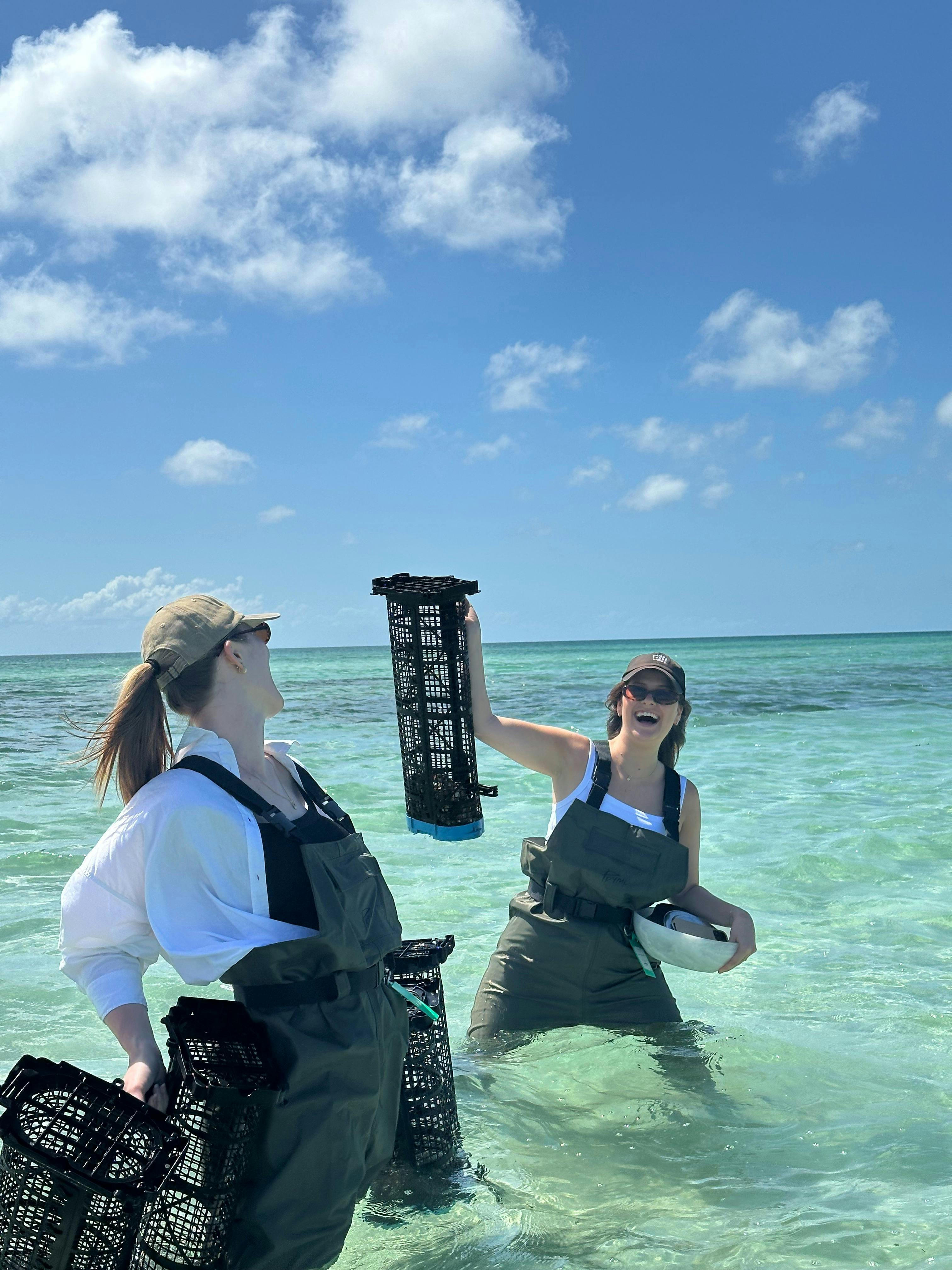 Brisbane  Oyster Tours