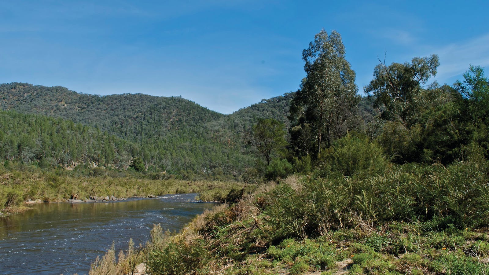 Snowy River National Park