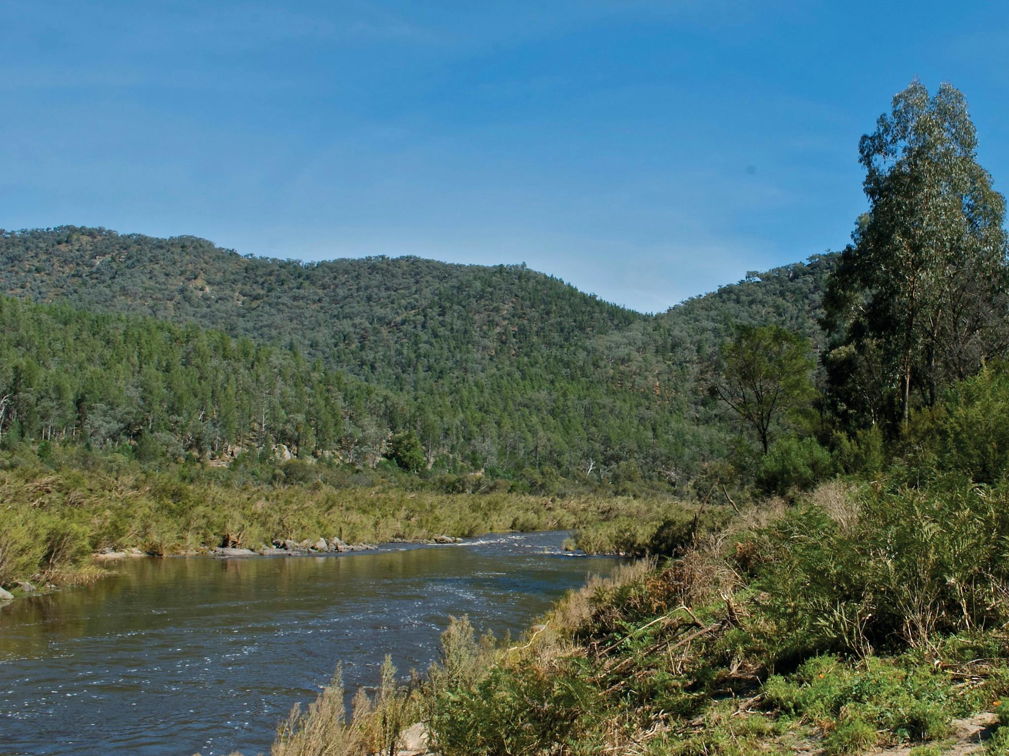 Snowy River National Park
