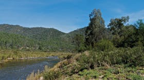 Snowy River National Park