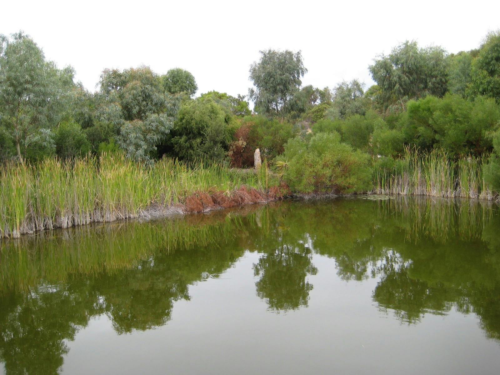Lake