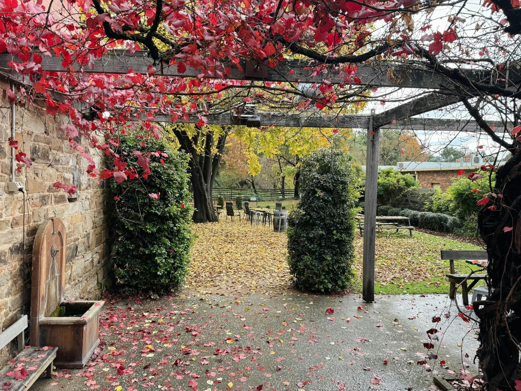 Outdoor area with plants and seating area