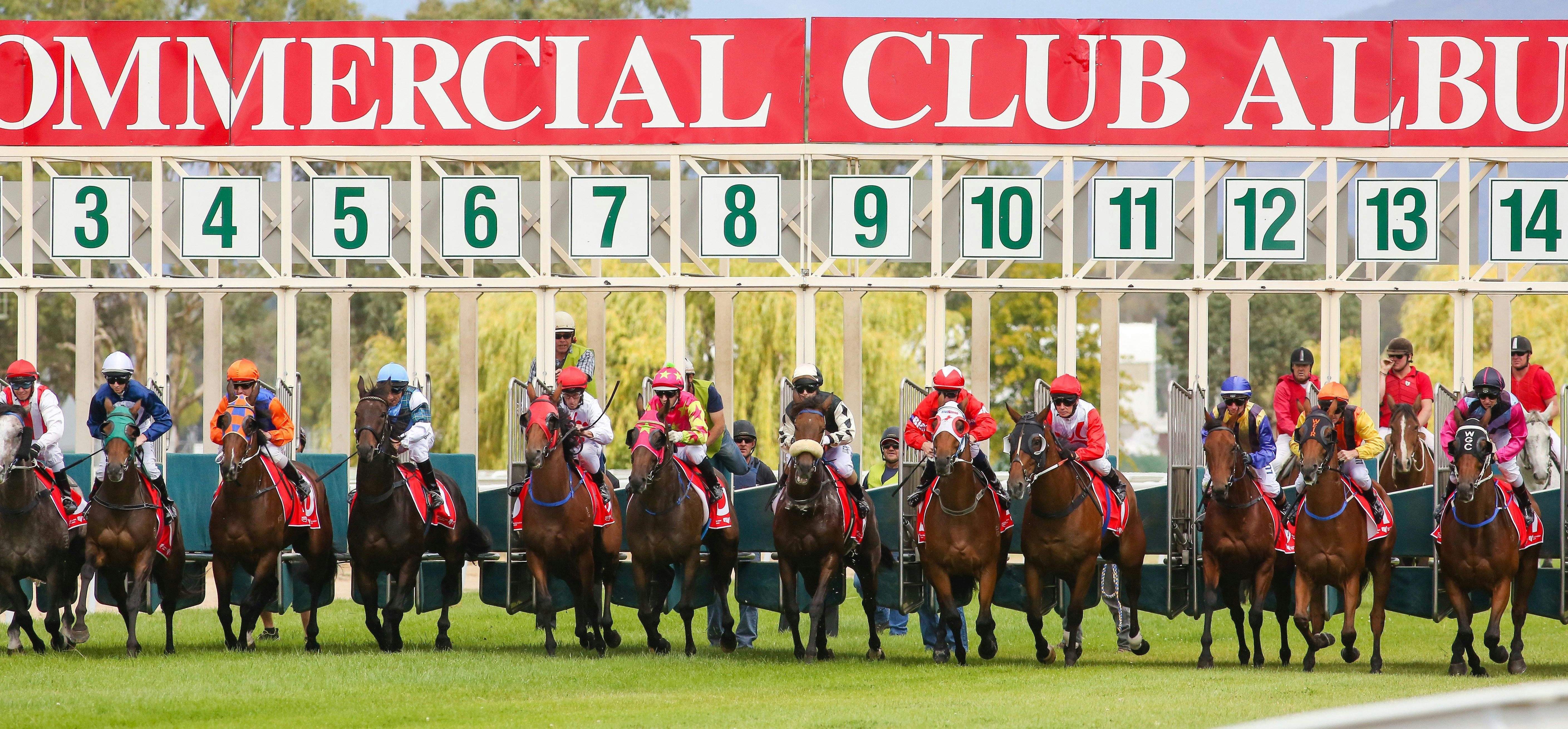Albury Racing Club on the jump