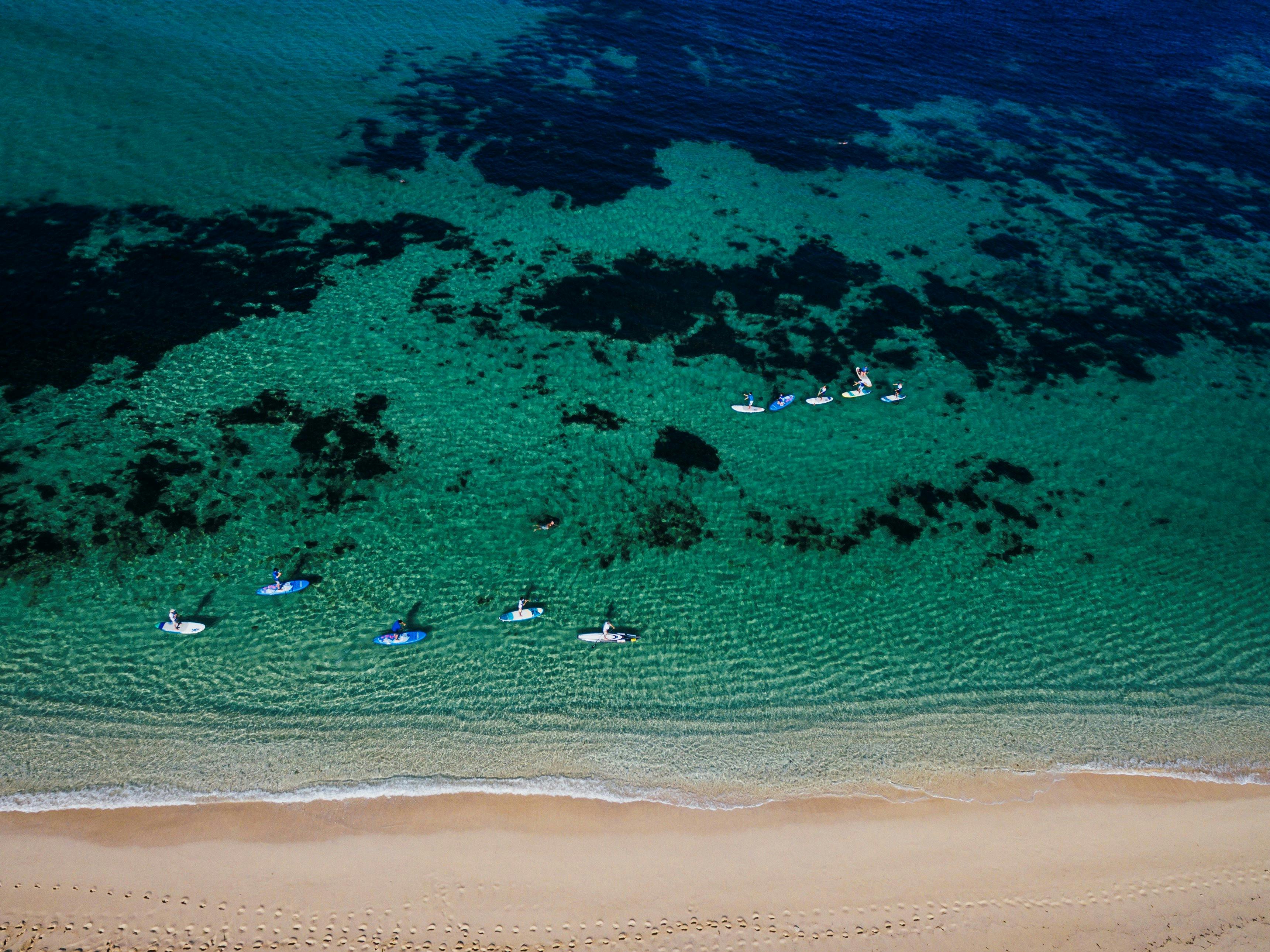 Stand Up Surfing, Gnarabup, Western Australia