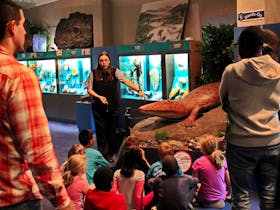 National Dinosaur Museum Public Tours