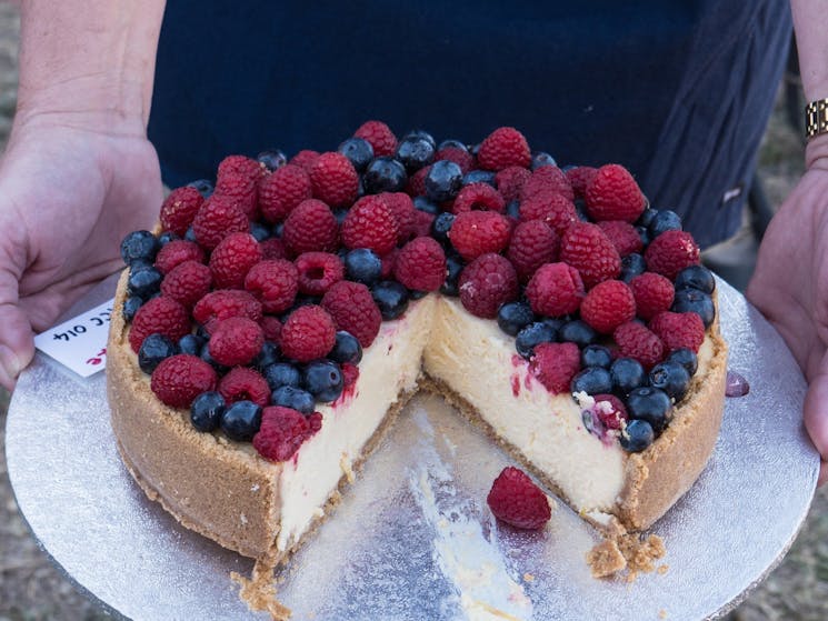 Nosh Australia's Greatest Cheesecake competition