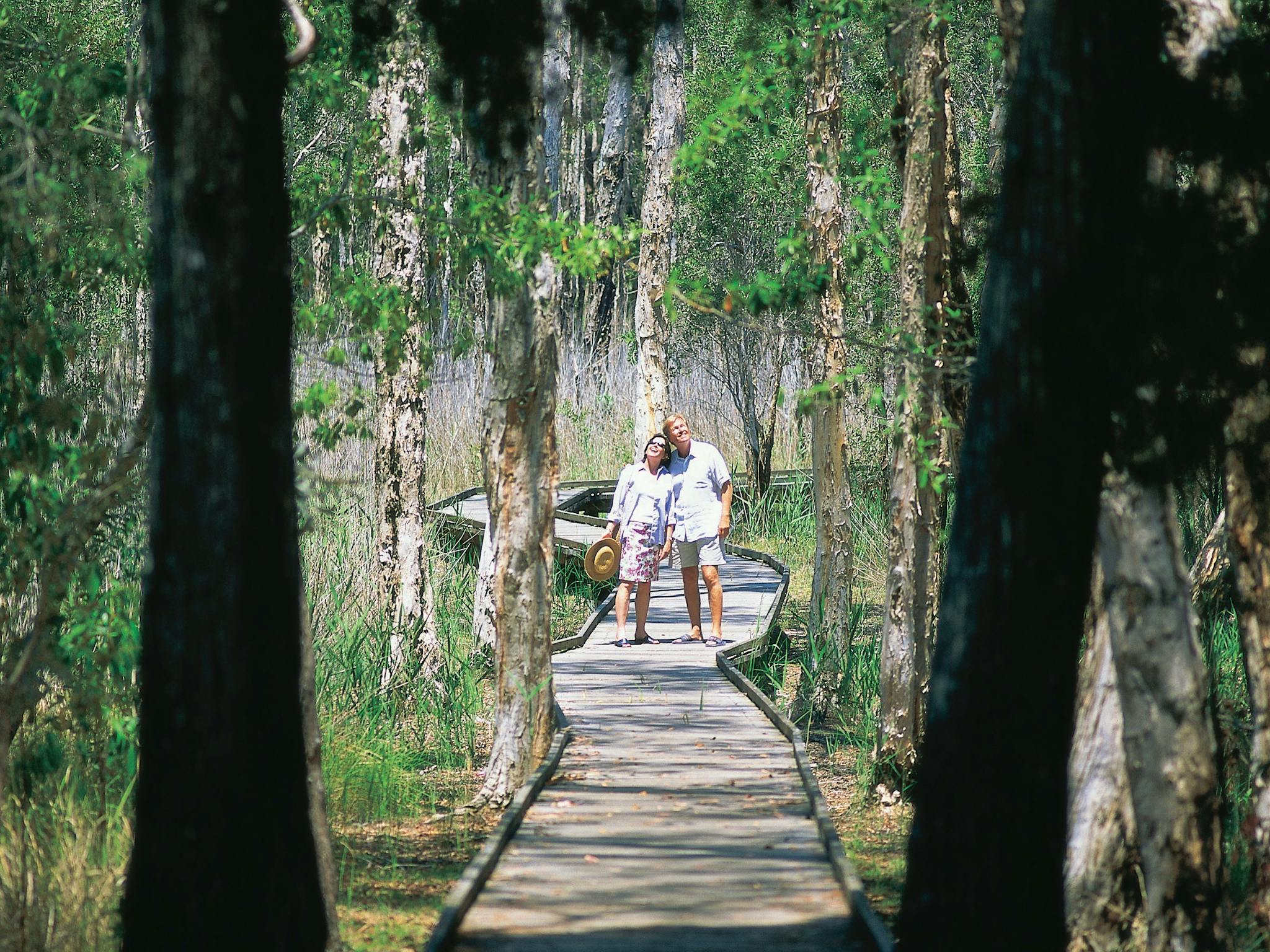 Boardwalk In Woodgate National Park