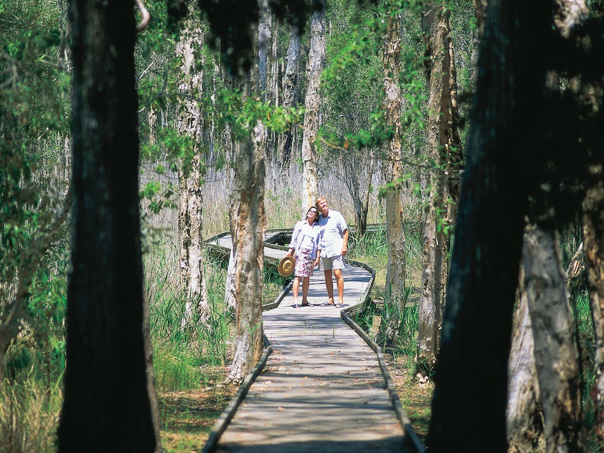 Boardwalk In Woodgate National Park Boardwalk In Woodgate National Park