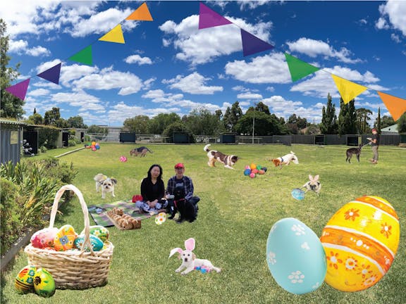 Doggy Easter Egg Hunt