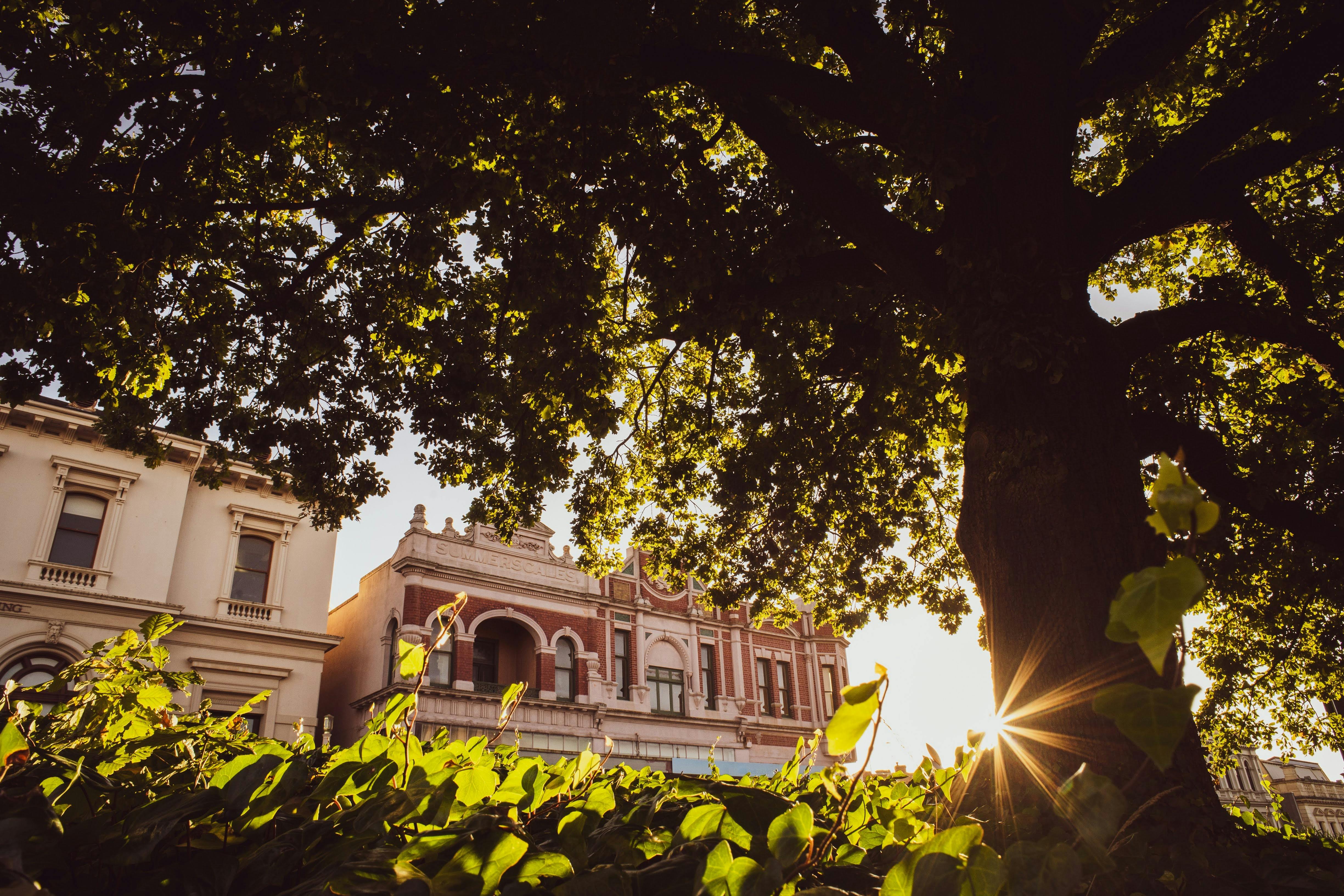 Hidden Lanes slow travel self guided walking tour in Ballarat