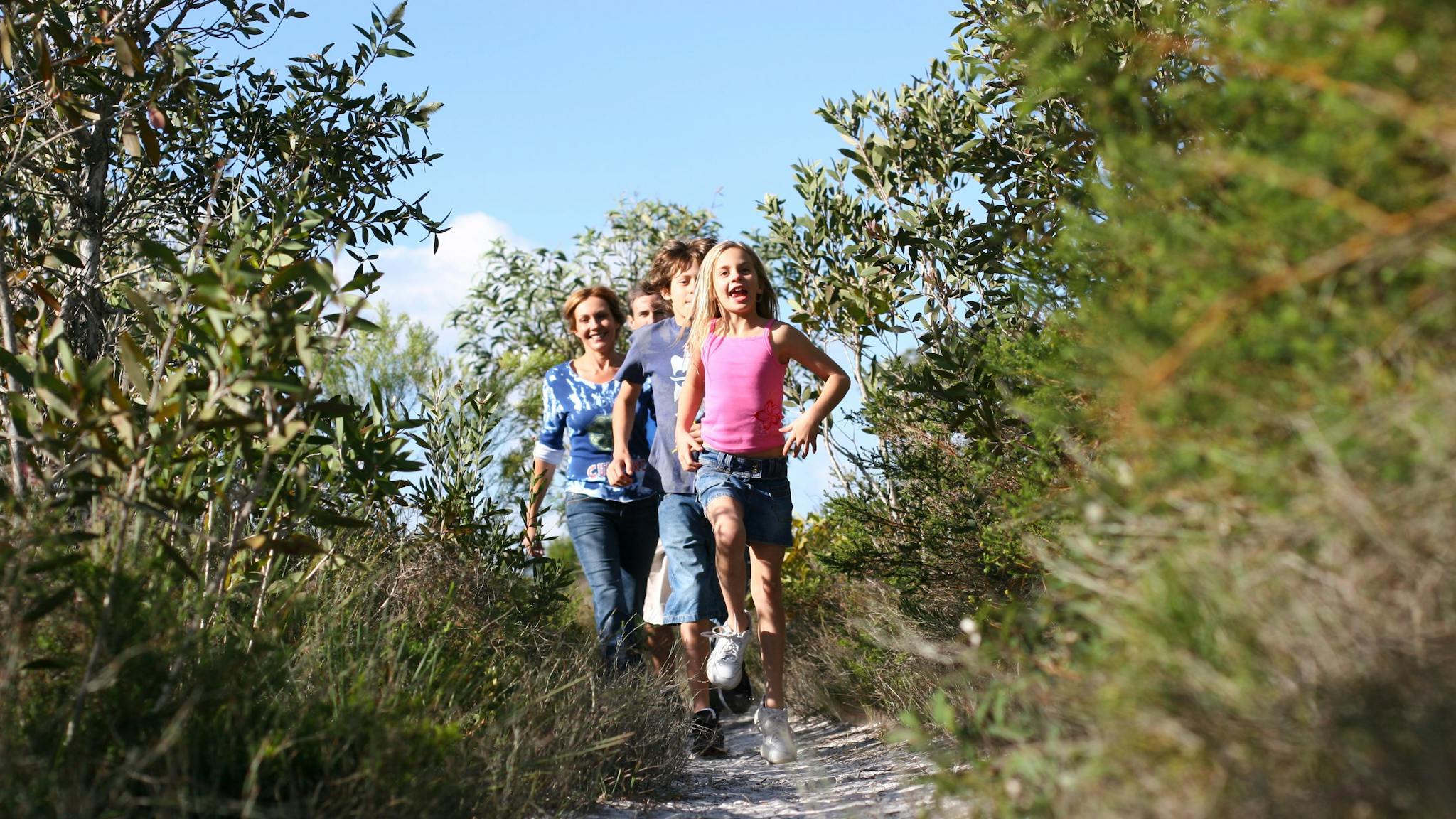 Walkers on track amid heath in Currimundi Lake Conservation Park Walkers on track amid heath in Currimundi Lake Conservation Park